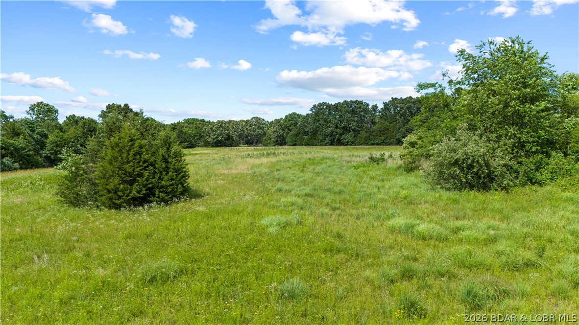 Tract 2 Whitetail Lane