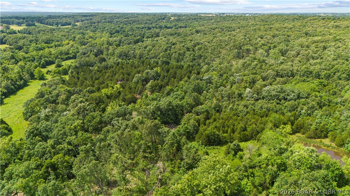 Tract 2 Whitetail Lane