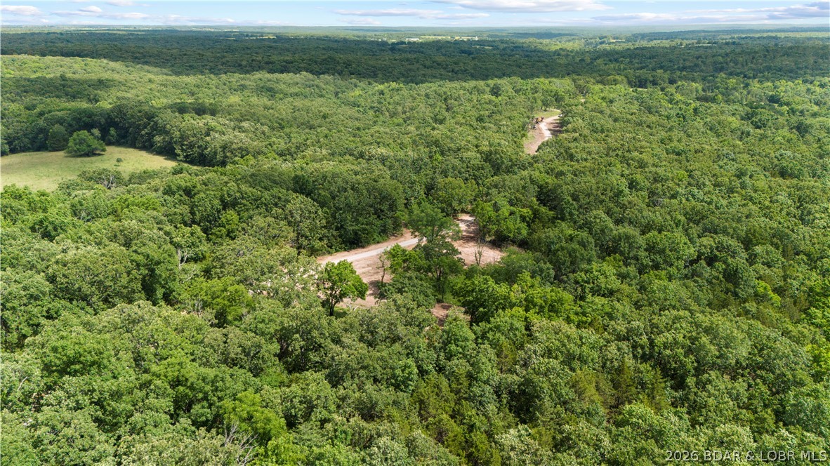 Tract 6 Whitetail Lane