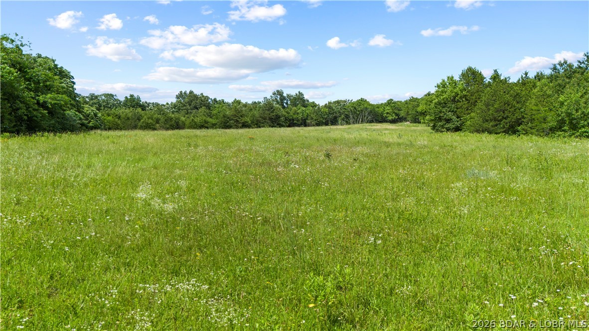 Tract 6 Whitetail Lane