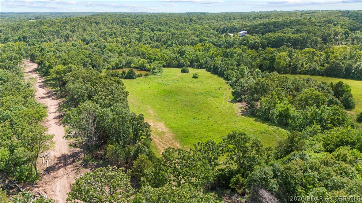 Tract 6 Whitetail Lane