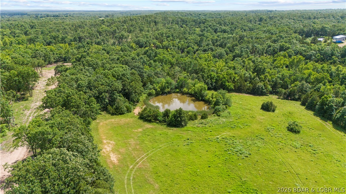 Tract 6 Whitetail Lane