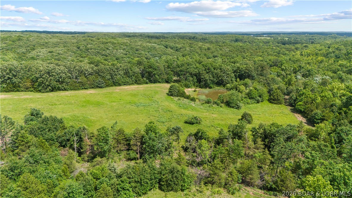 Tract 6 Whitetail Lane