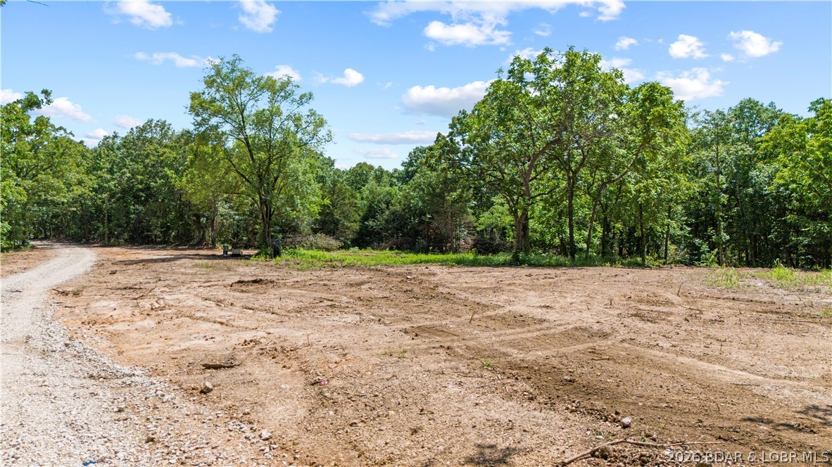 Tract 6 Whitetail Lane