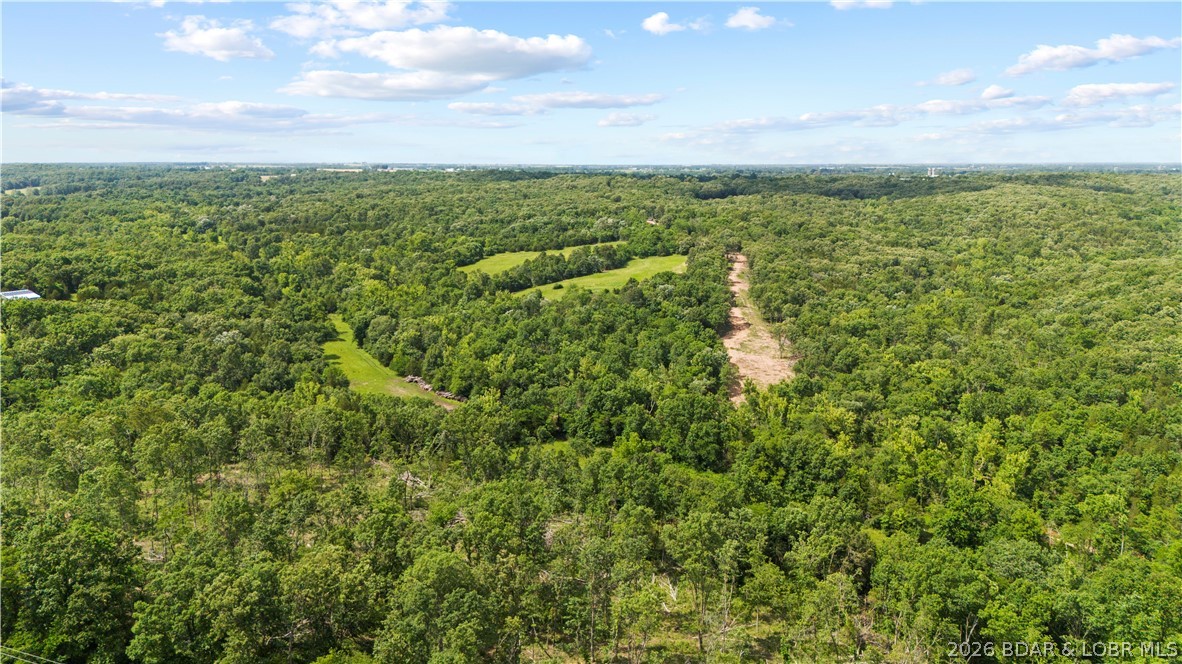 Tract 6 Whitetail Lane