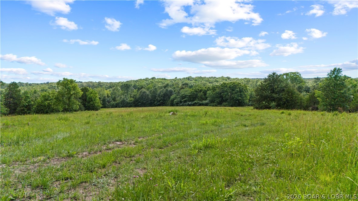 Tract 6 Whitetail Lane
