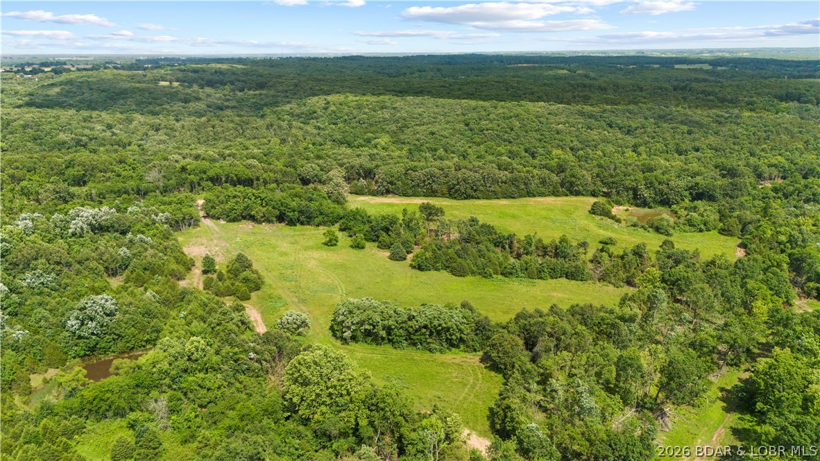 Tract 6 Whitetail Lane