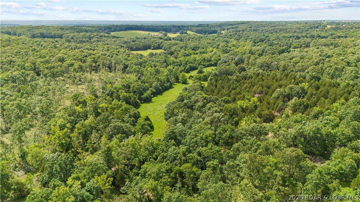 Tract 6 Whitetail Lane