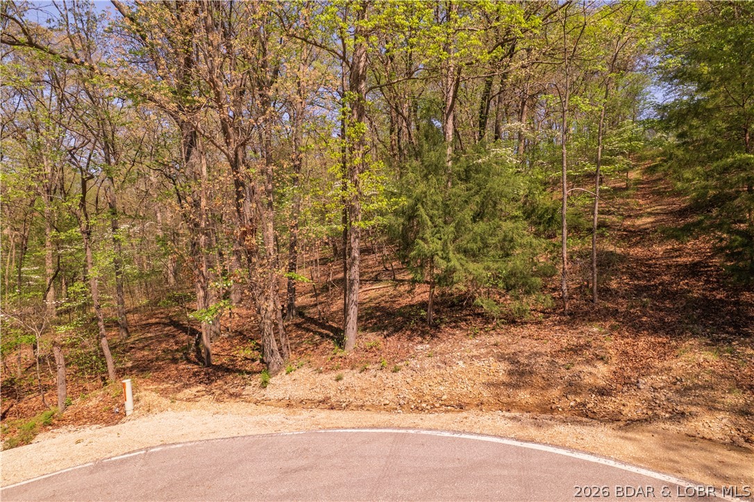 Lot 1120 Salem Drive