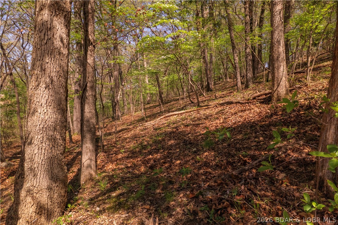Lot 1120 Salem Drive