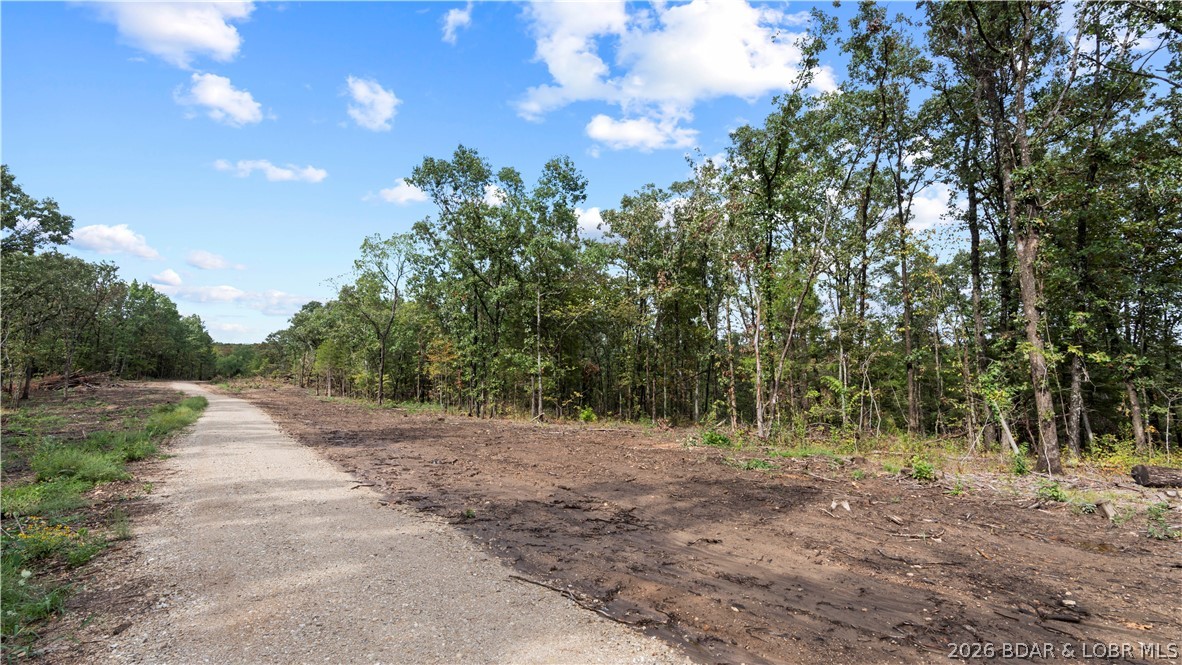 Lot 16 Whitetail Lane