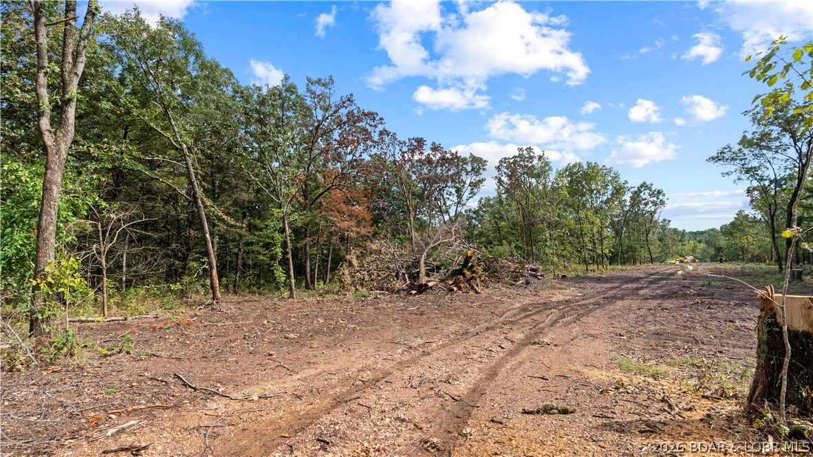 Lot 16 Whitetail Lane