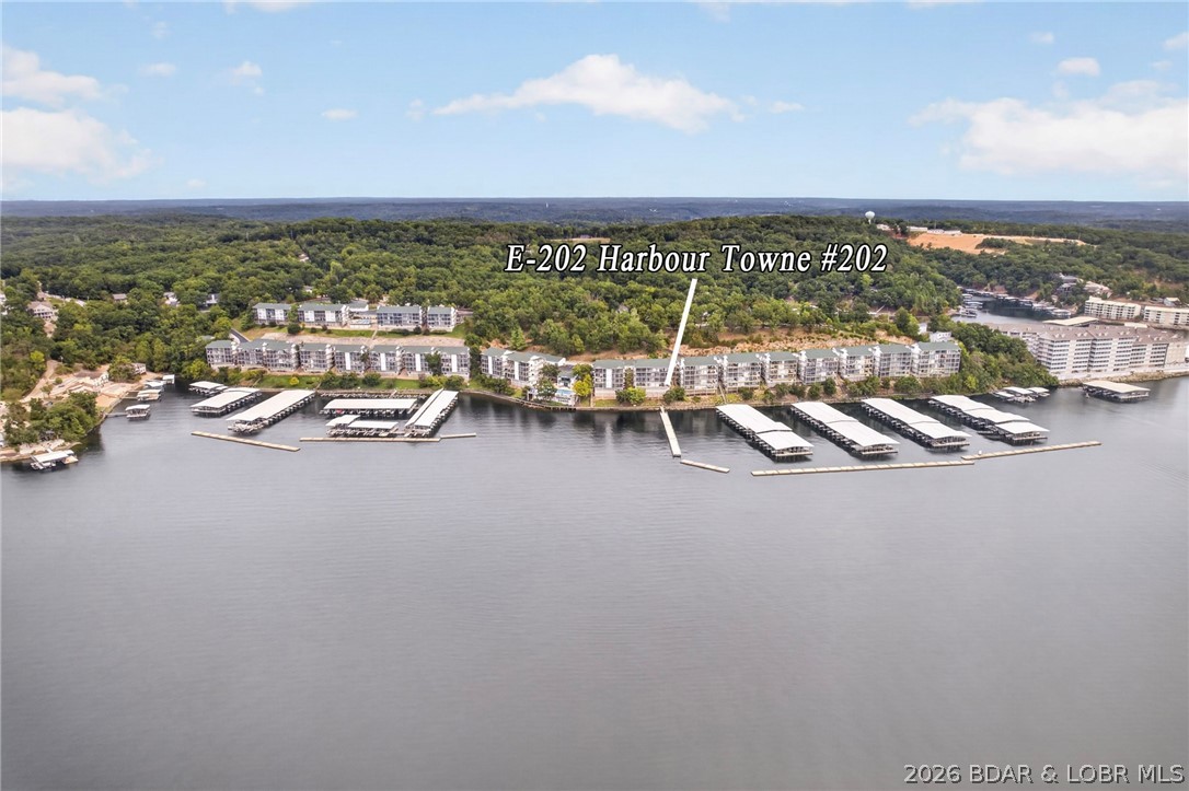 E202 Harbour Towne Drive E-202