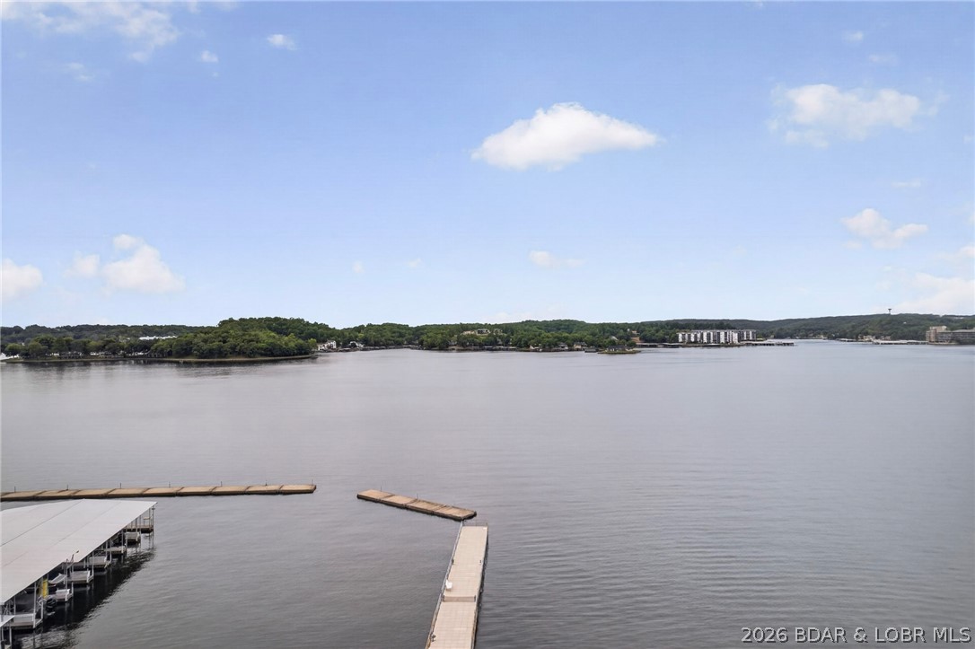E202 Harbour Towne Drive E-202
