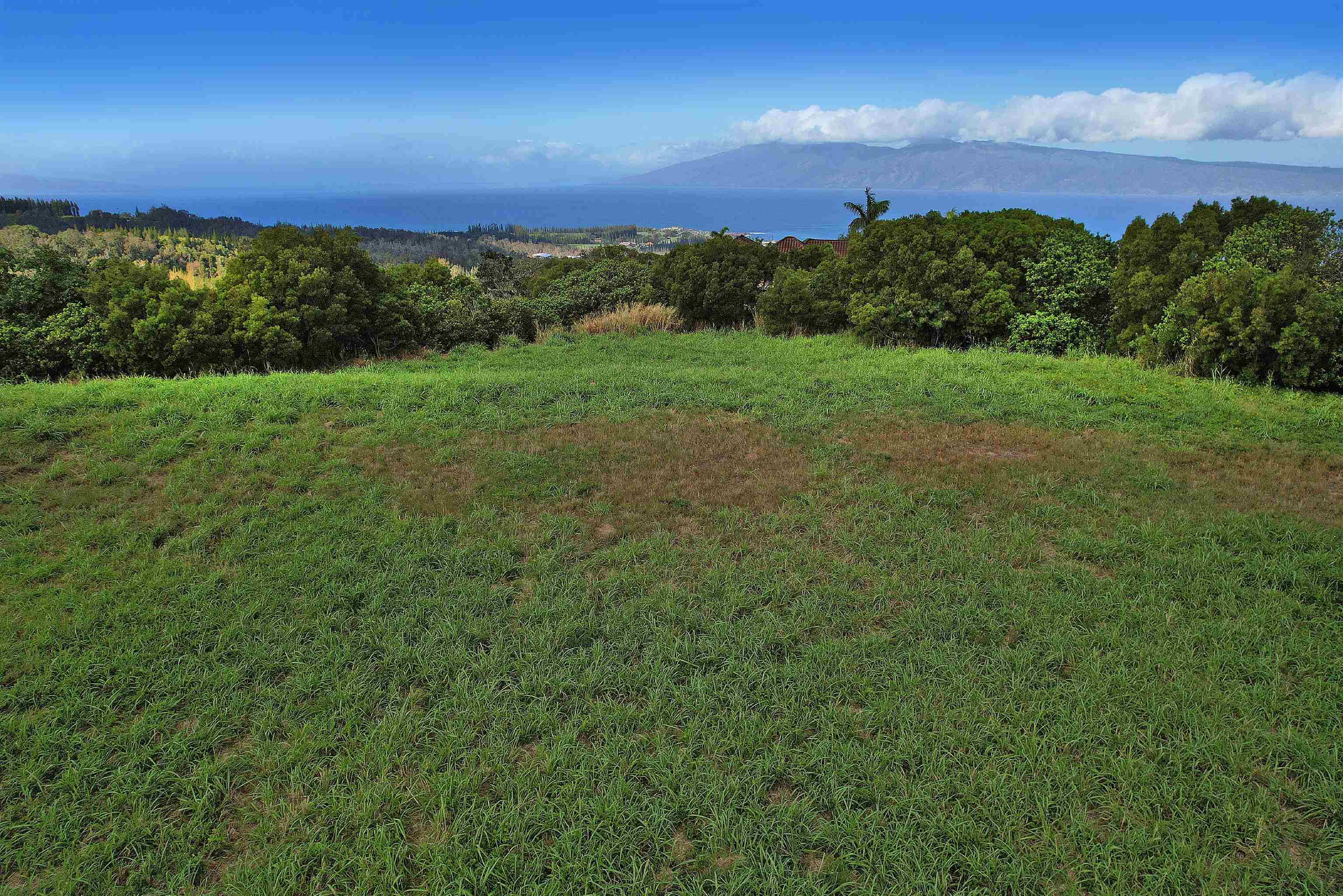 208 Kalaunu Way Unit: 12