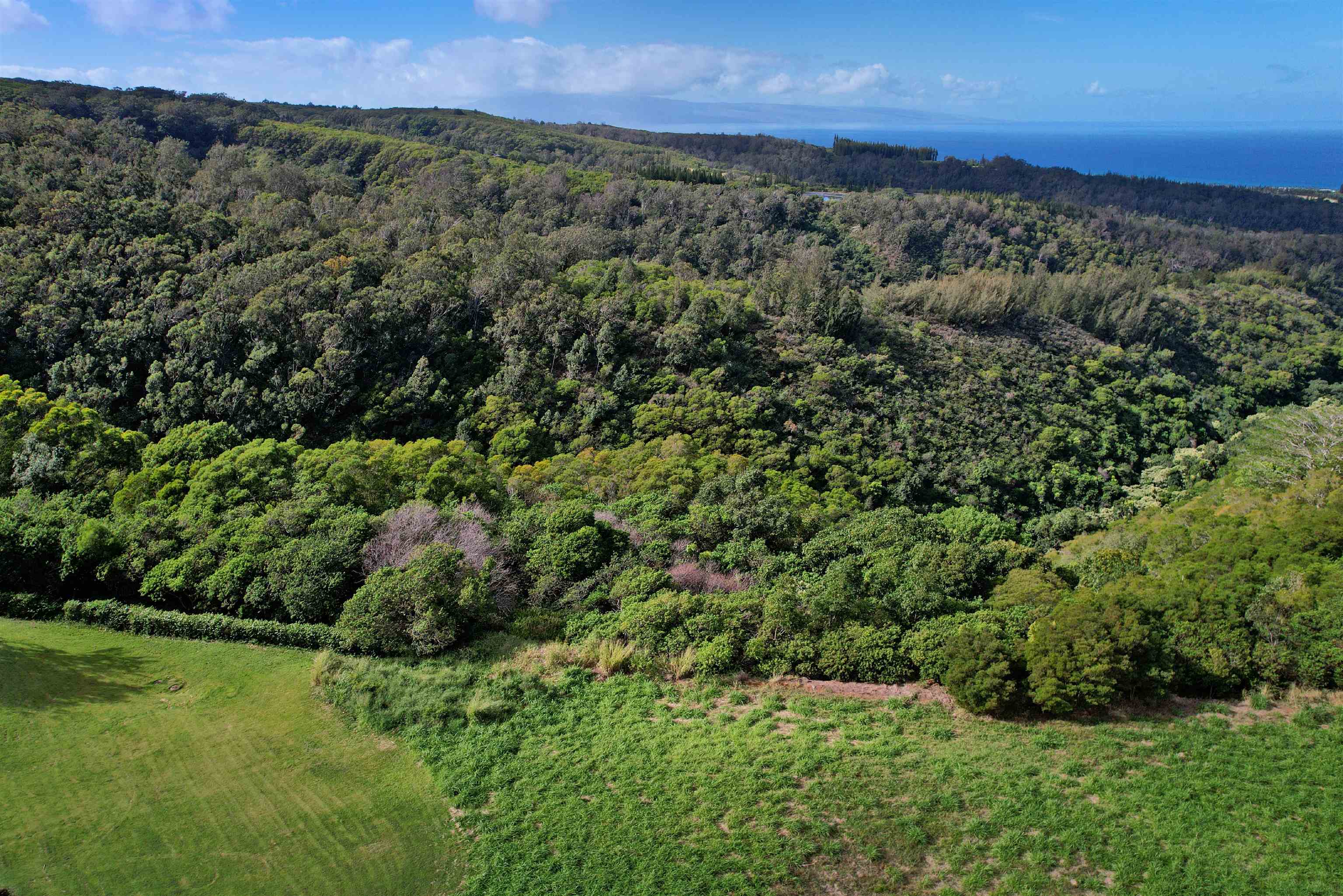 208 Kalaunu Way Unit: 12