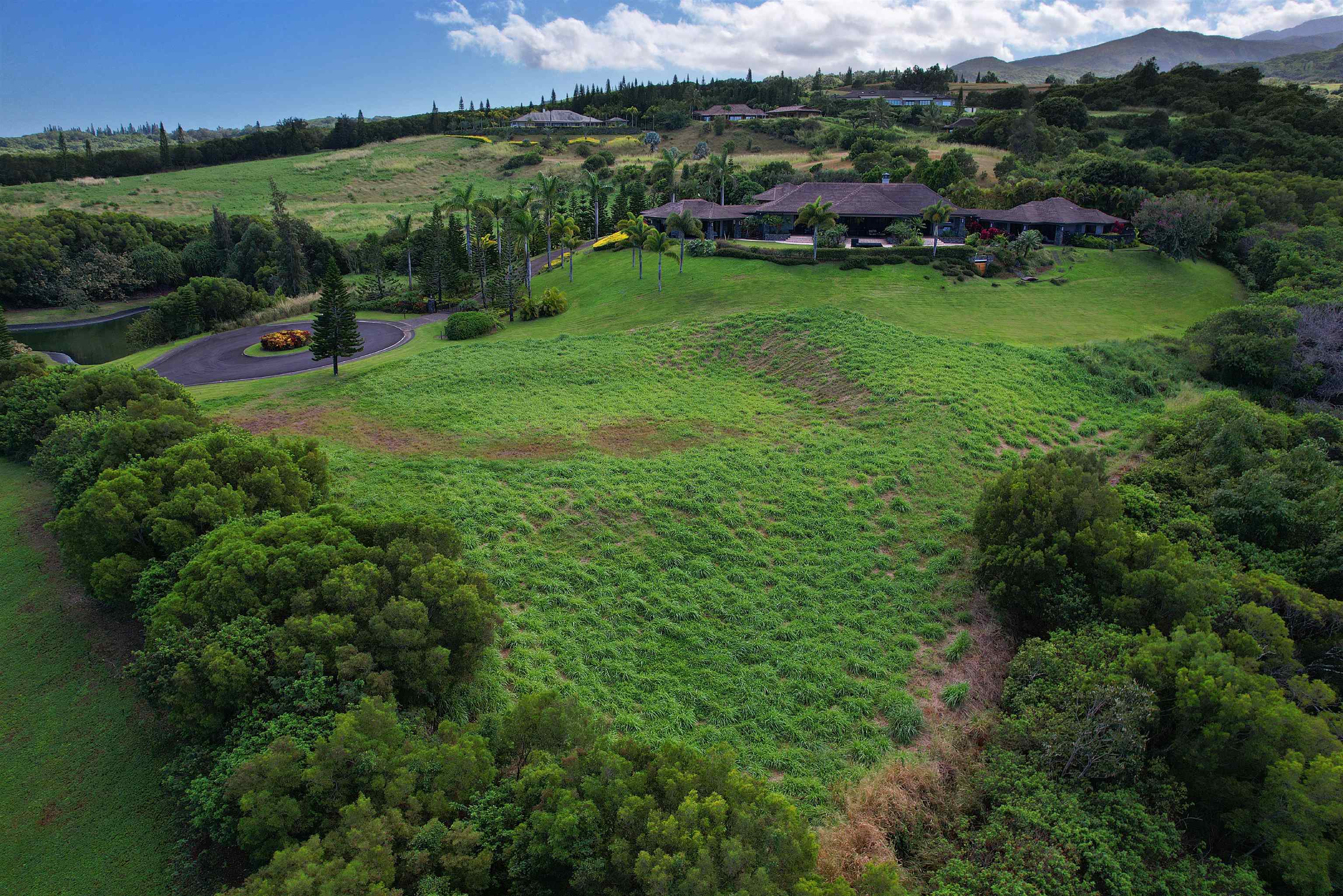 208 Kalaunu Way Unit: 12