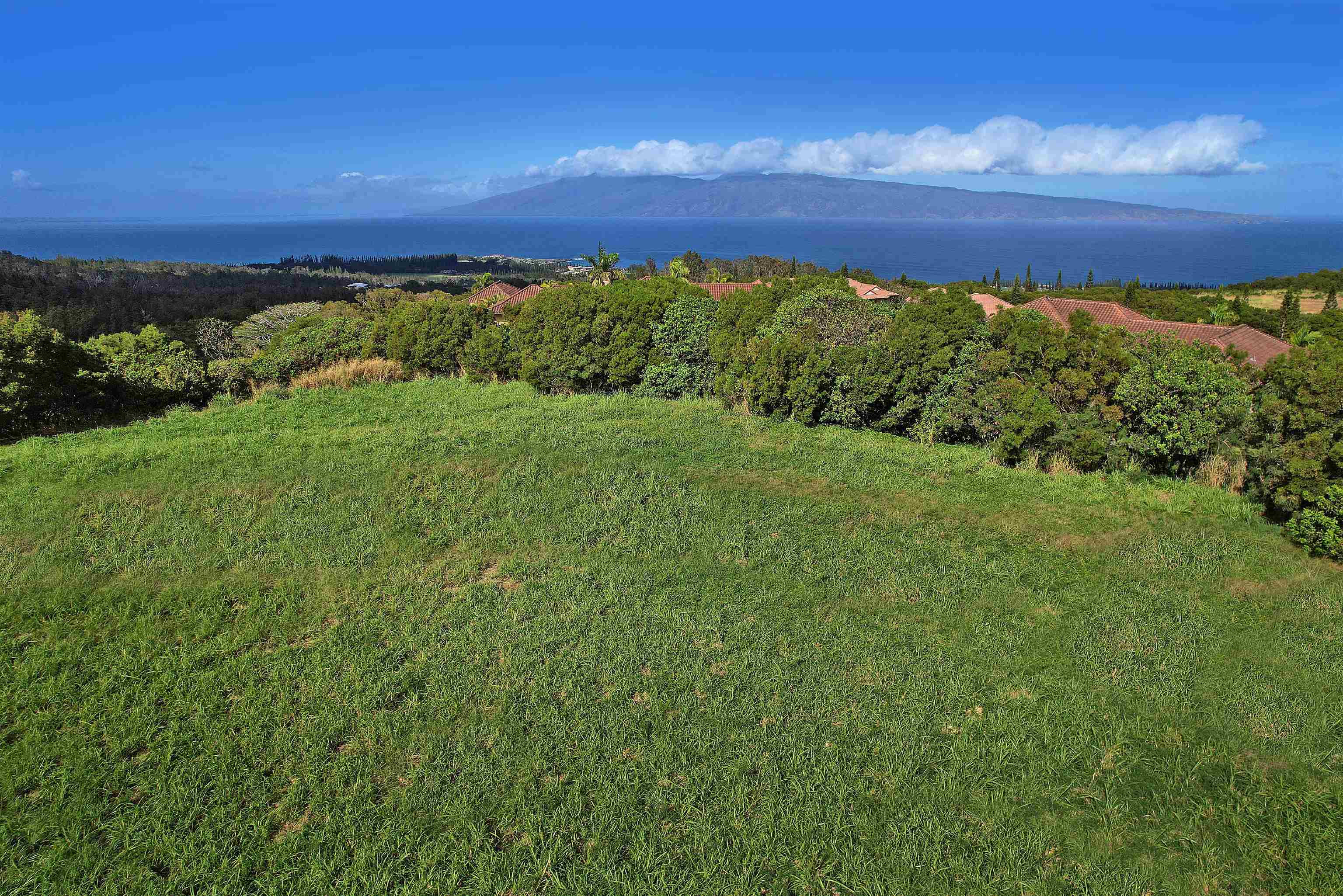 208 Kalaunu Way Unit: 12