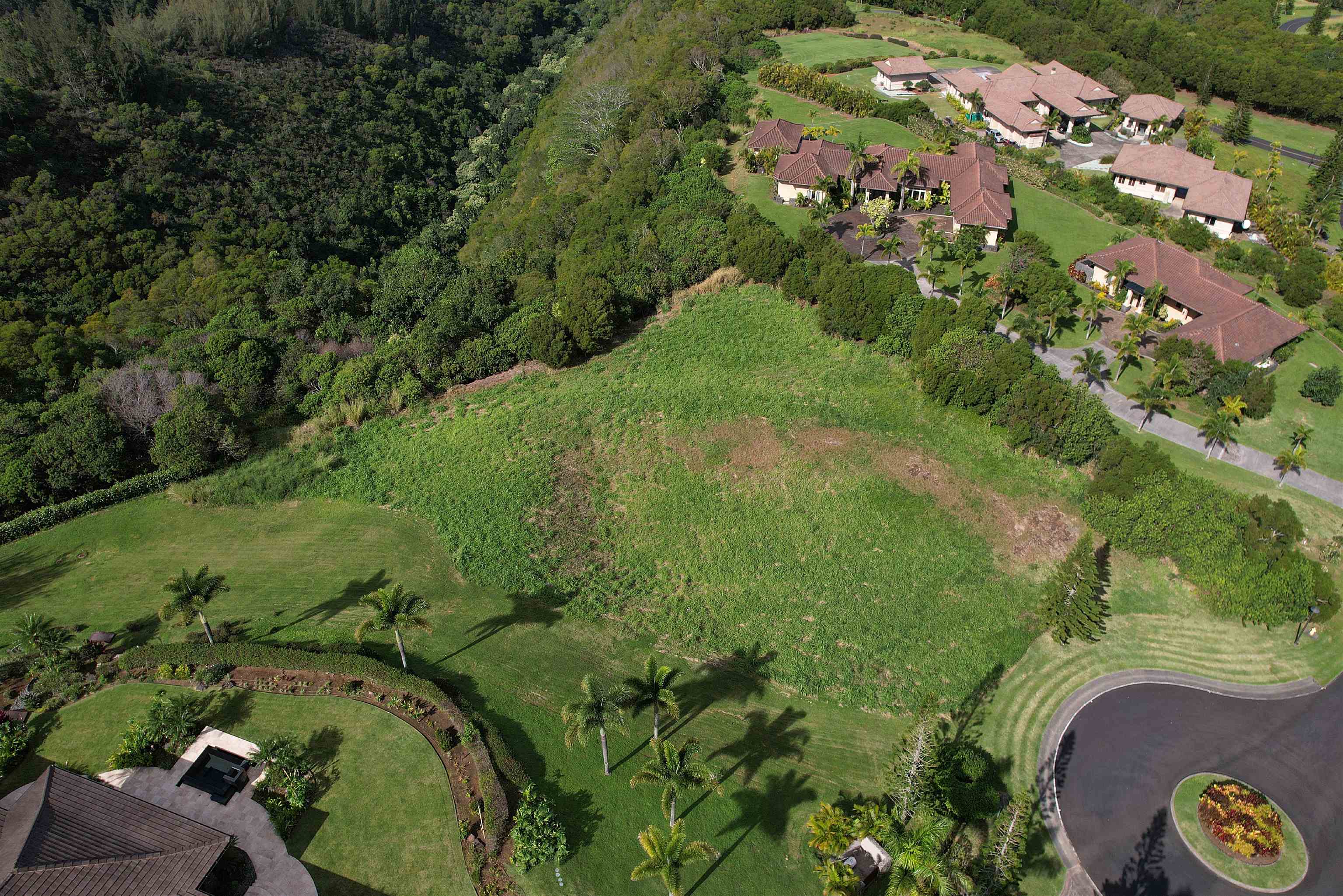 208 Kalaunu Way Unit: 12