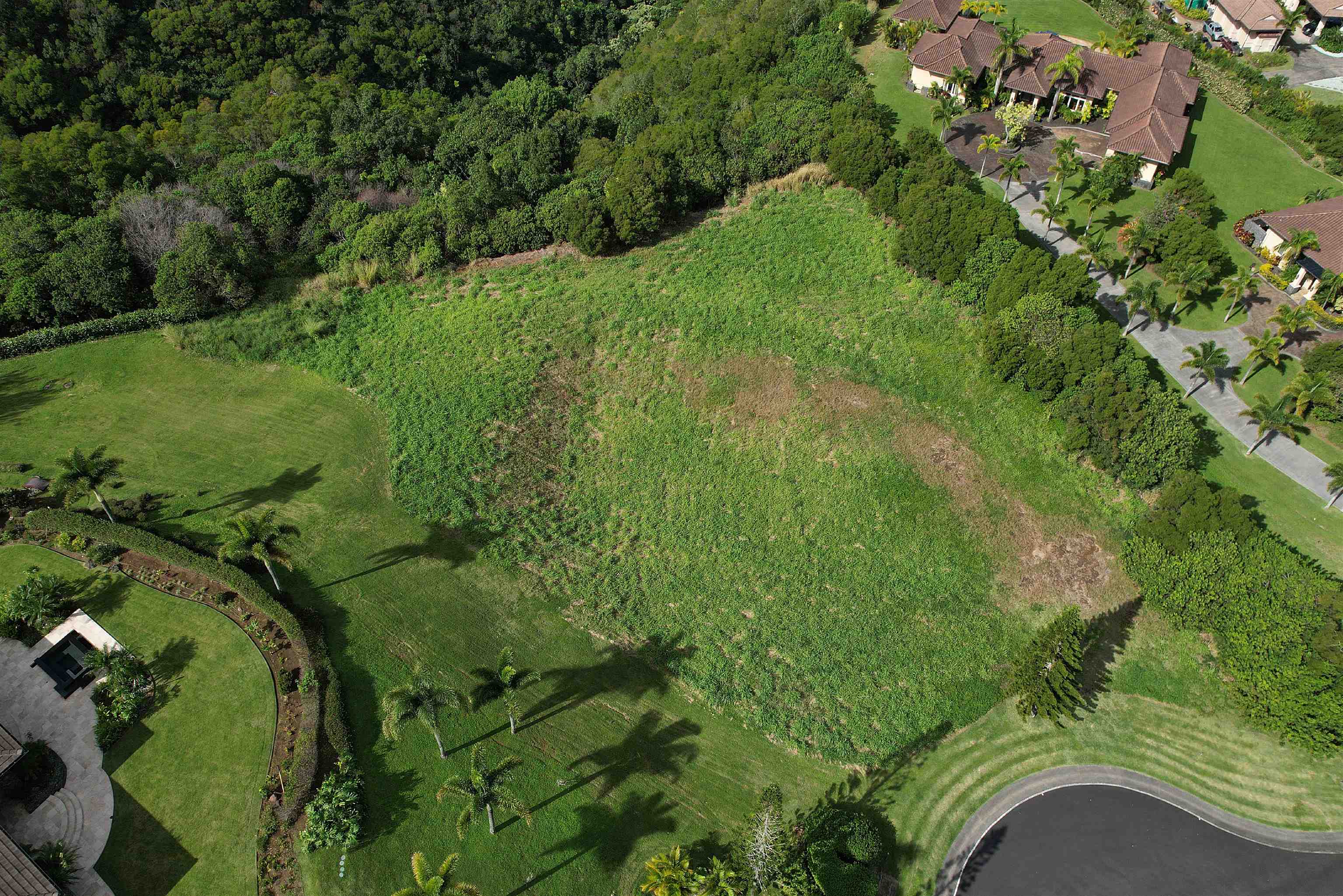 208 Kalaunu Way Unit: 12