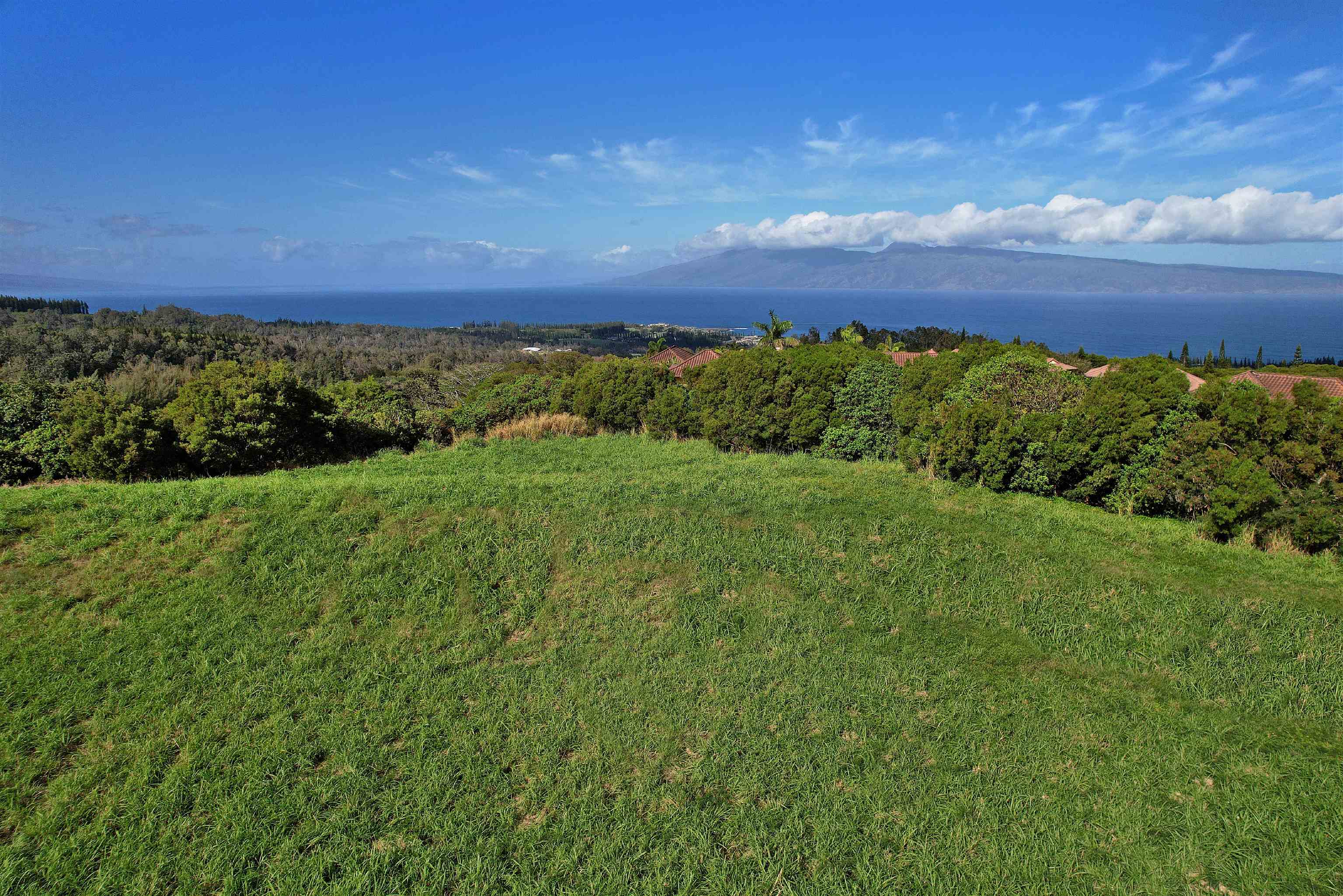 208 Kalaunu Way Unit: 12