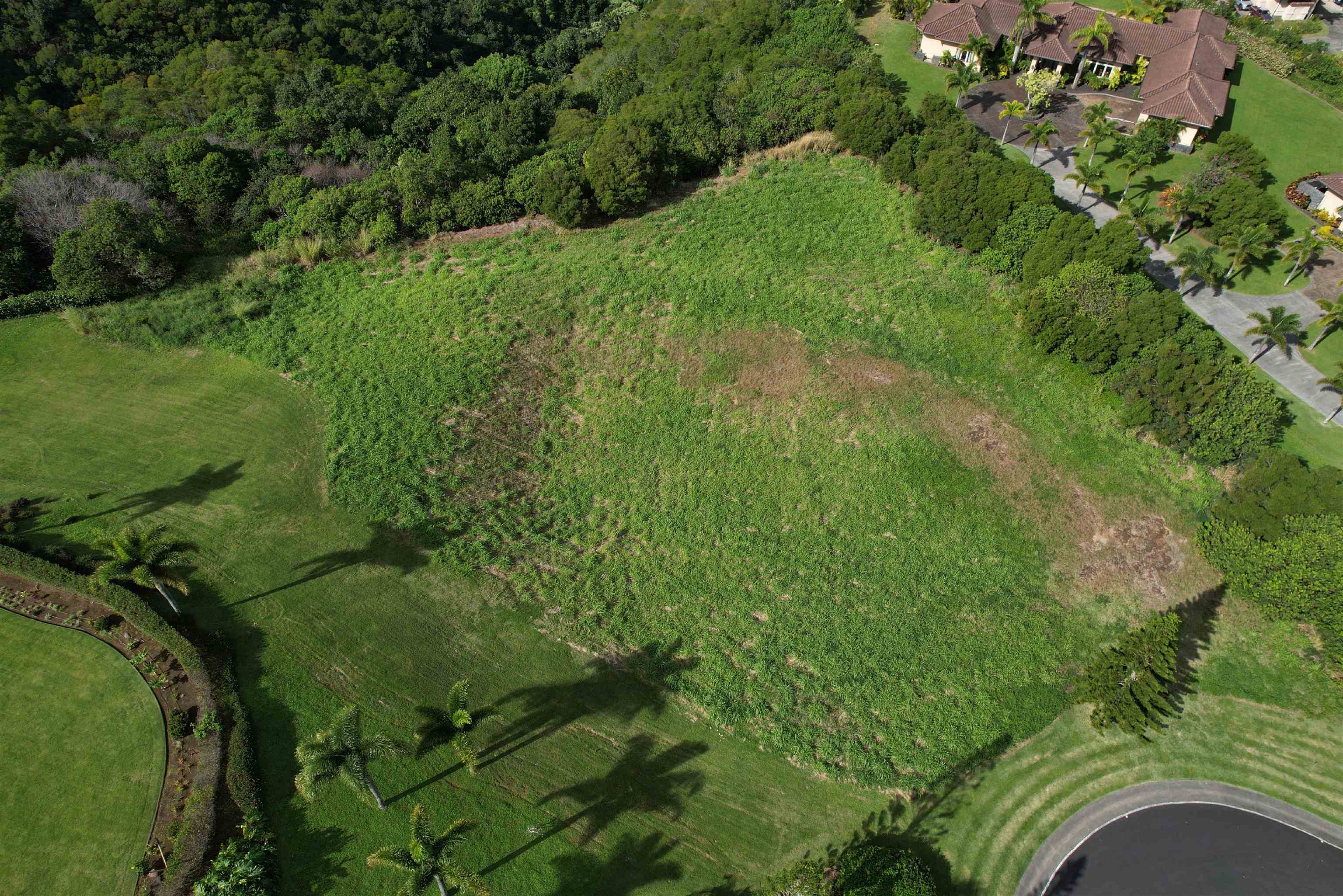 208 Kalaunu Way Unit: 12