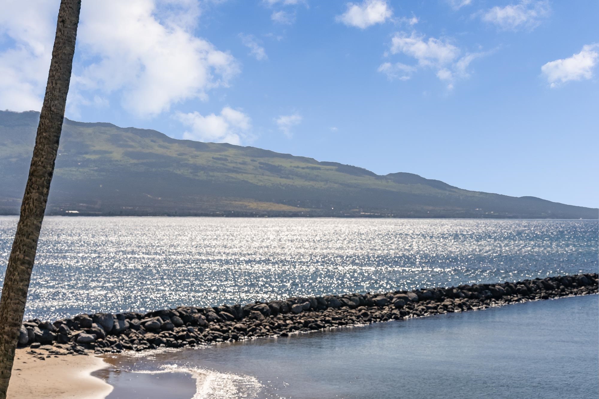 30 Hauoli St Unit: 209