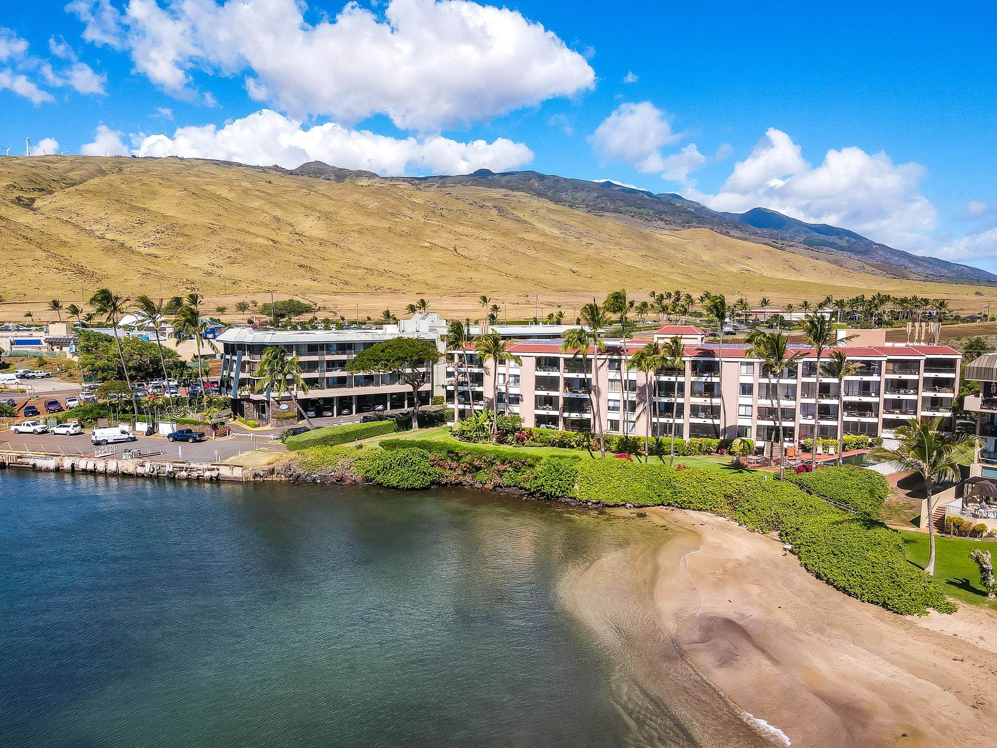 30 Hauoli St Unit: 209