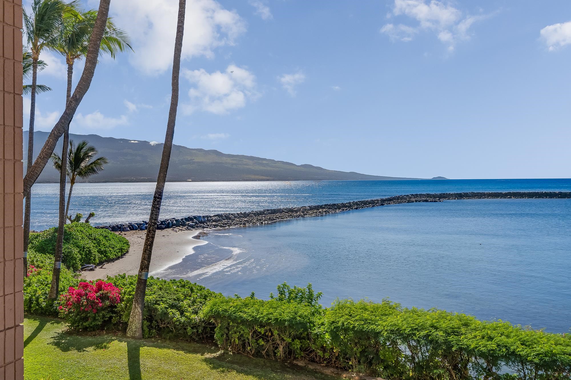 30 Hauoli St Unit: 209