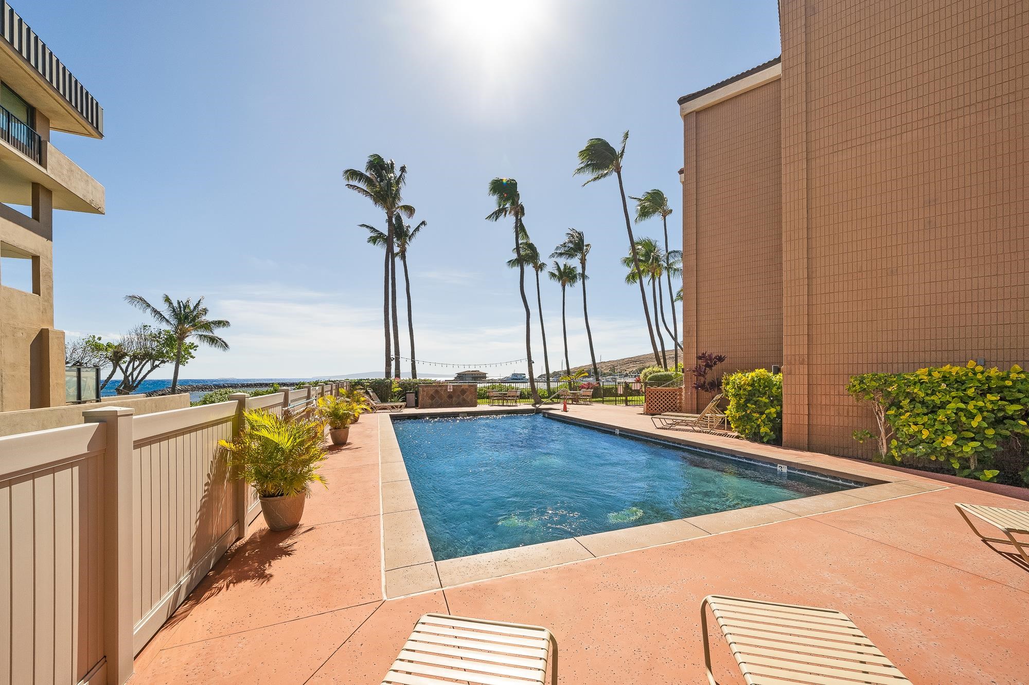 30 Hauoli St Unit: 209