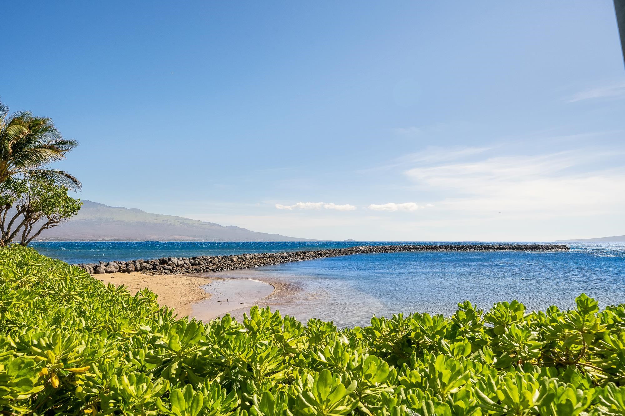 30 Hauoli St Unit: 209