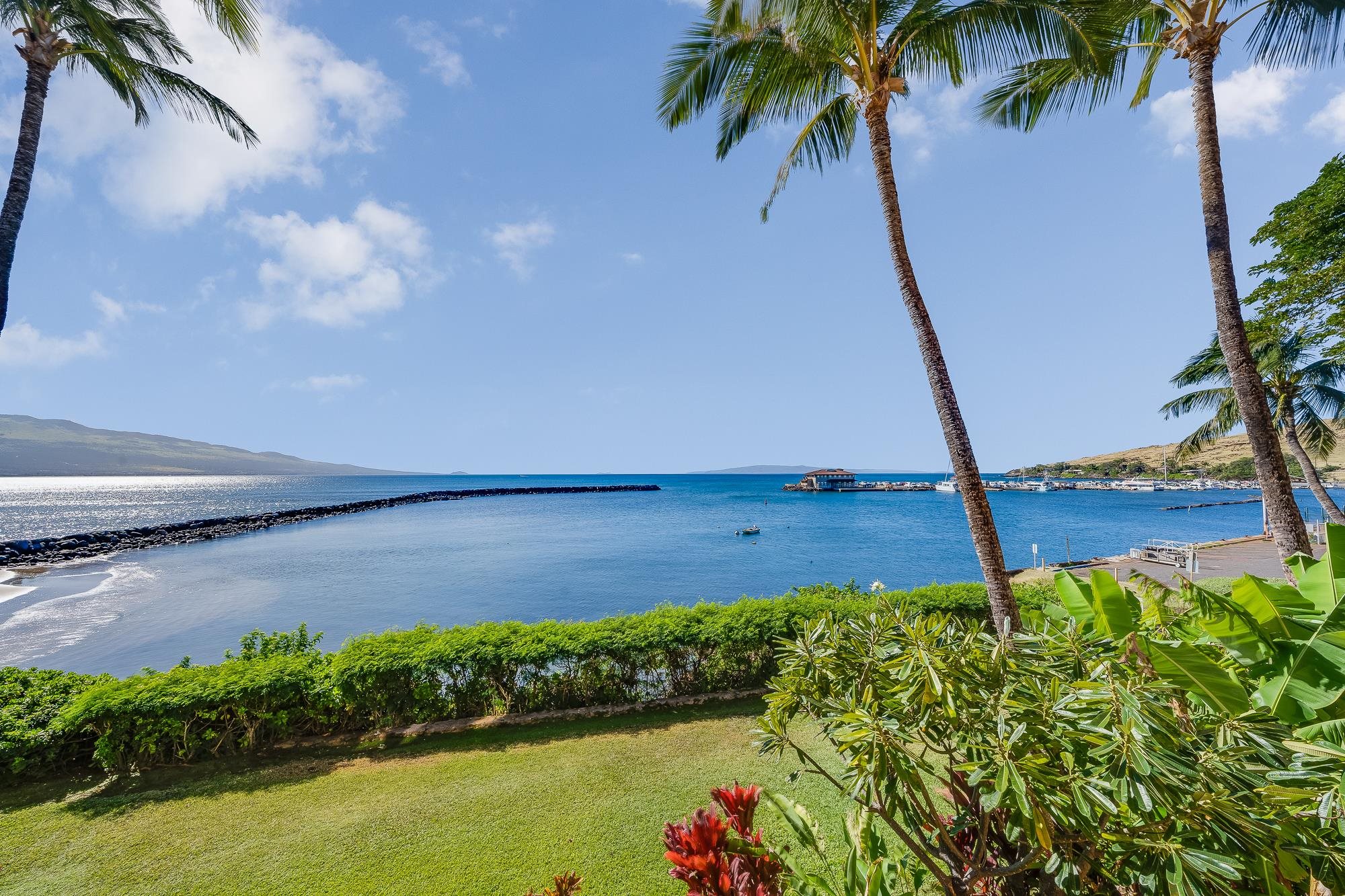 30 Hauoli St Unit: 209