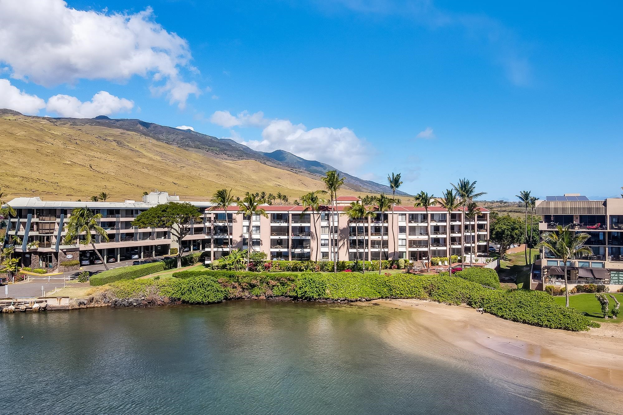 30 Hauoli St Unit: 209