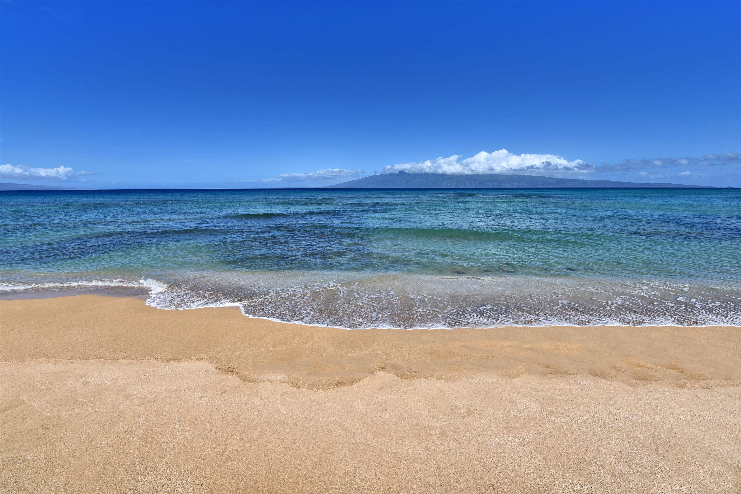 3875 Lower Honoapiilani Rd Unit: A-205