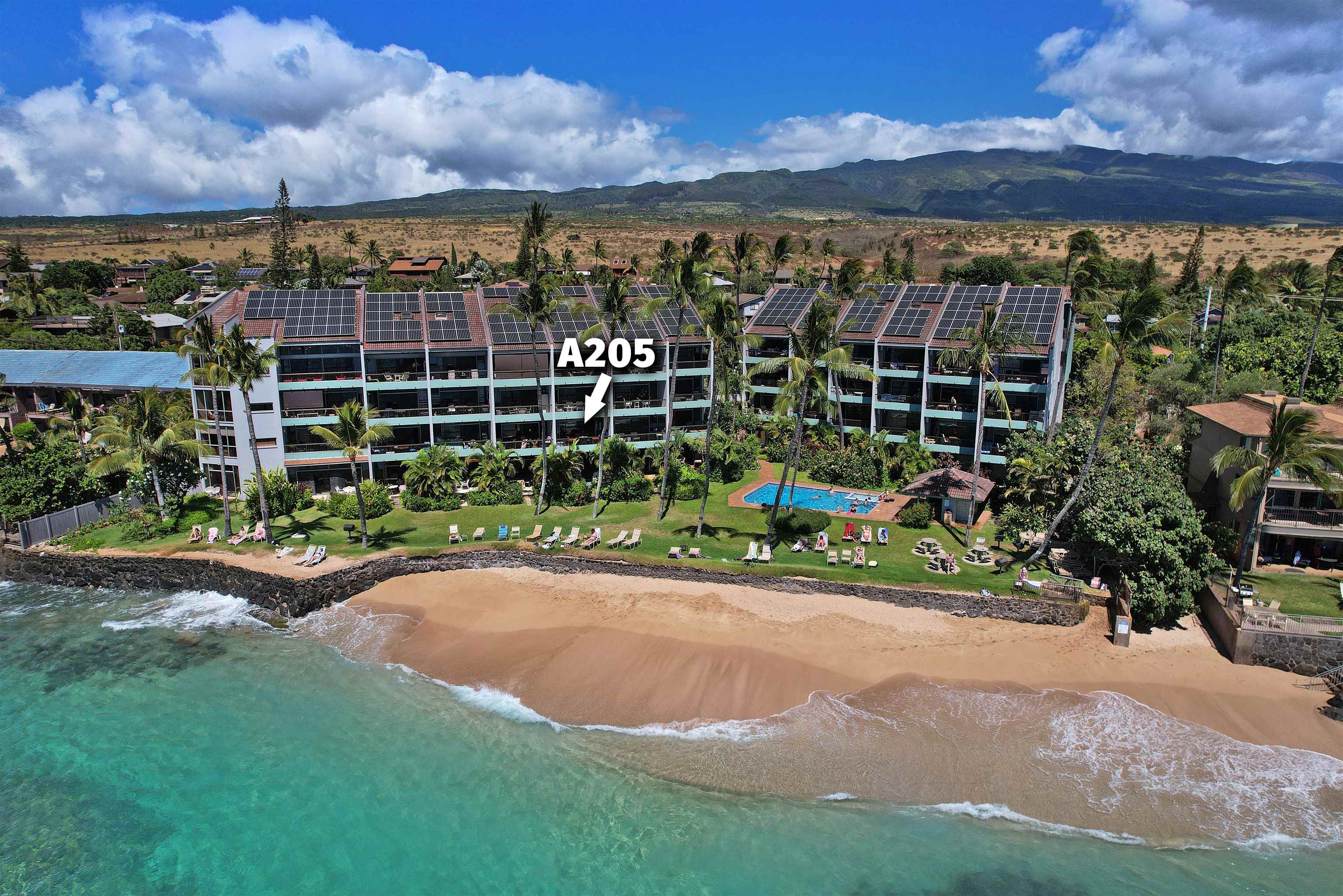 3875 Lower Honoapiilani Rd Unit: A-205