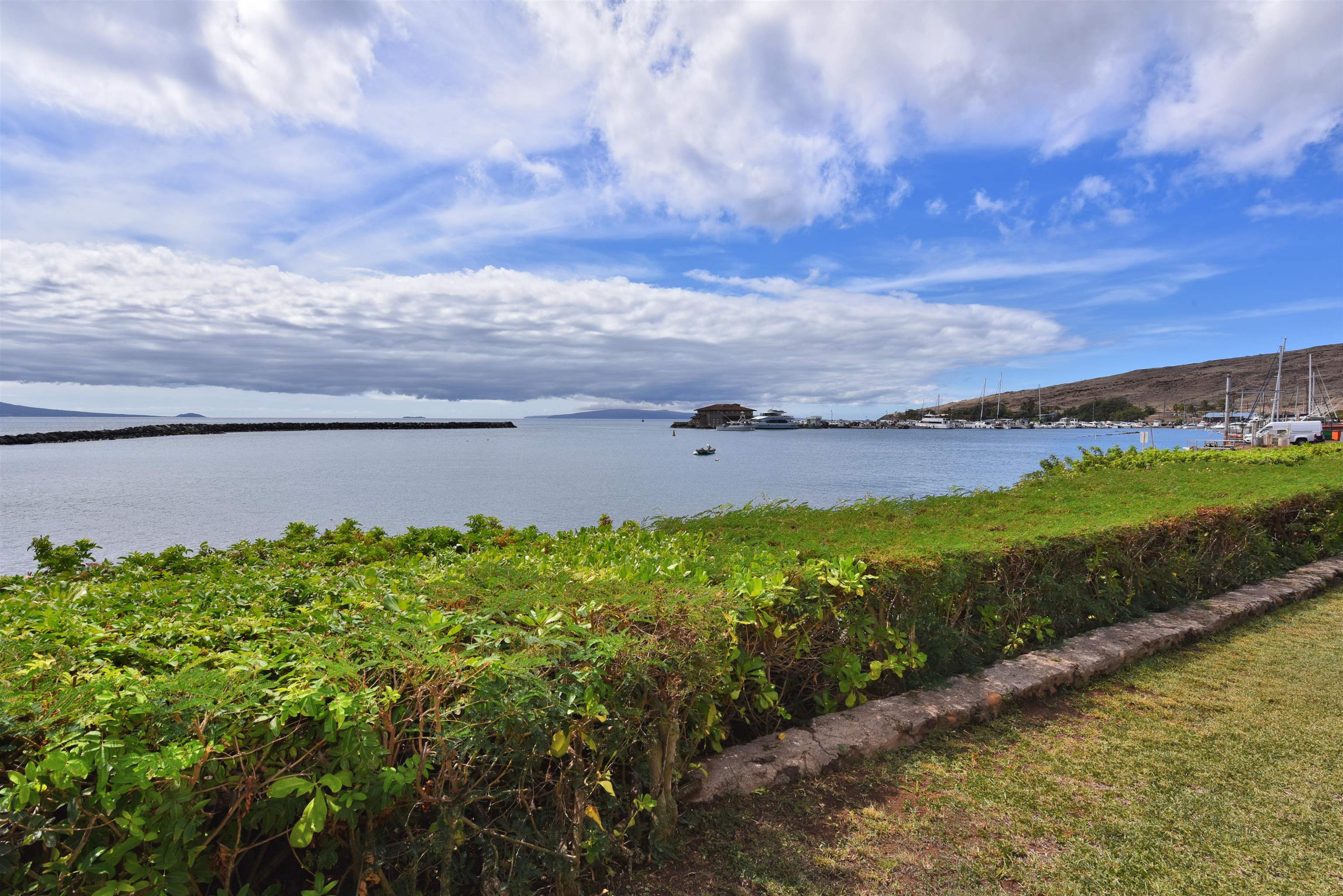 30 Hauoli St Unit: 304