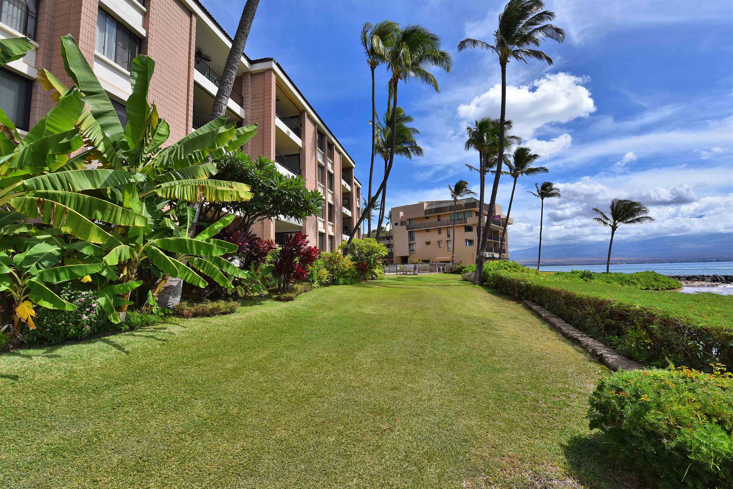 30 Hauoli St Unit: 304