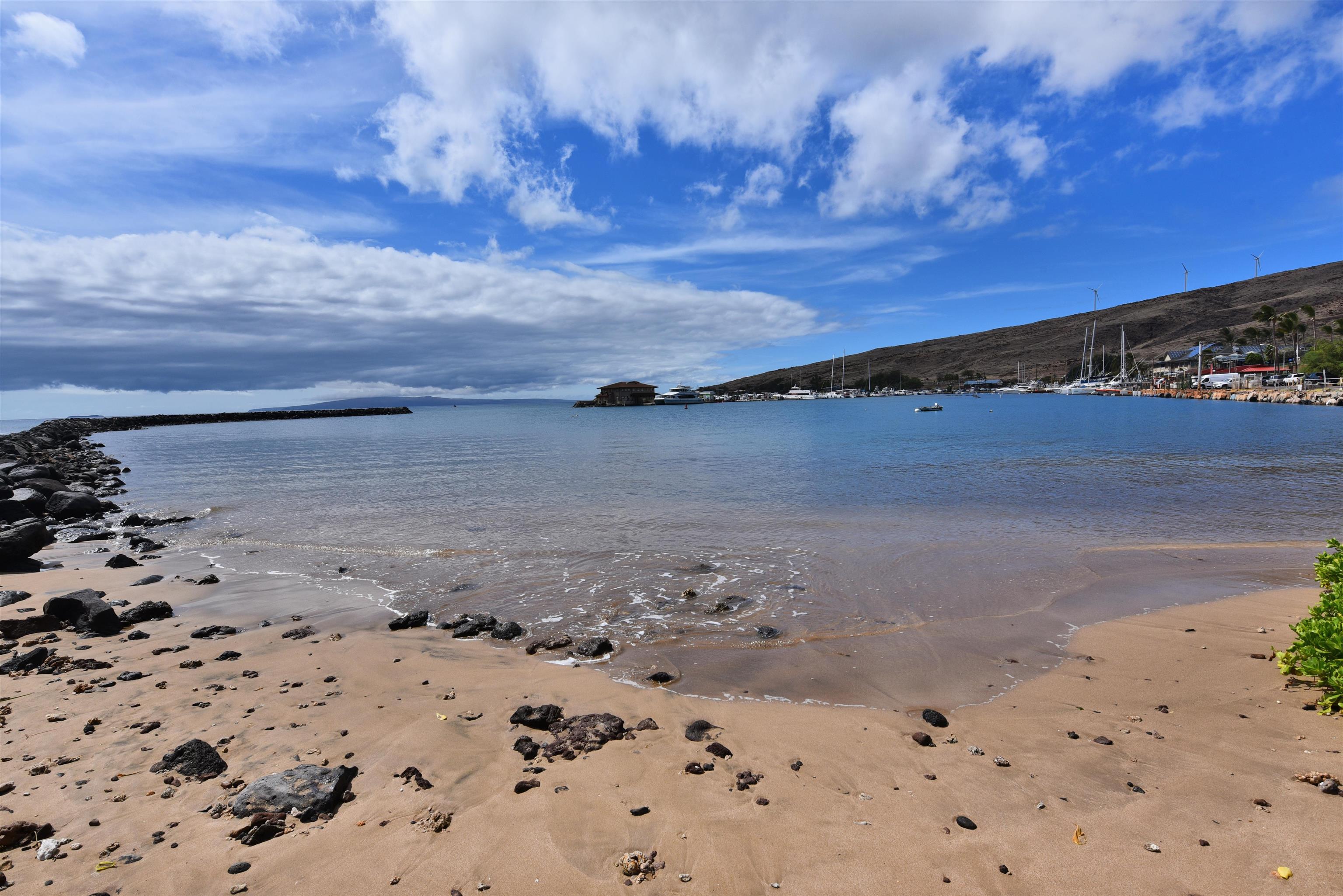 30 Hauoli St Unit: 304