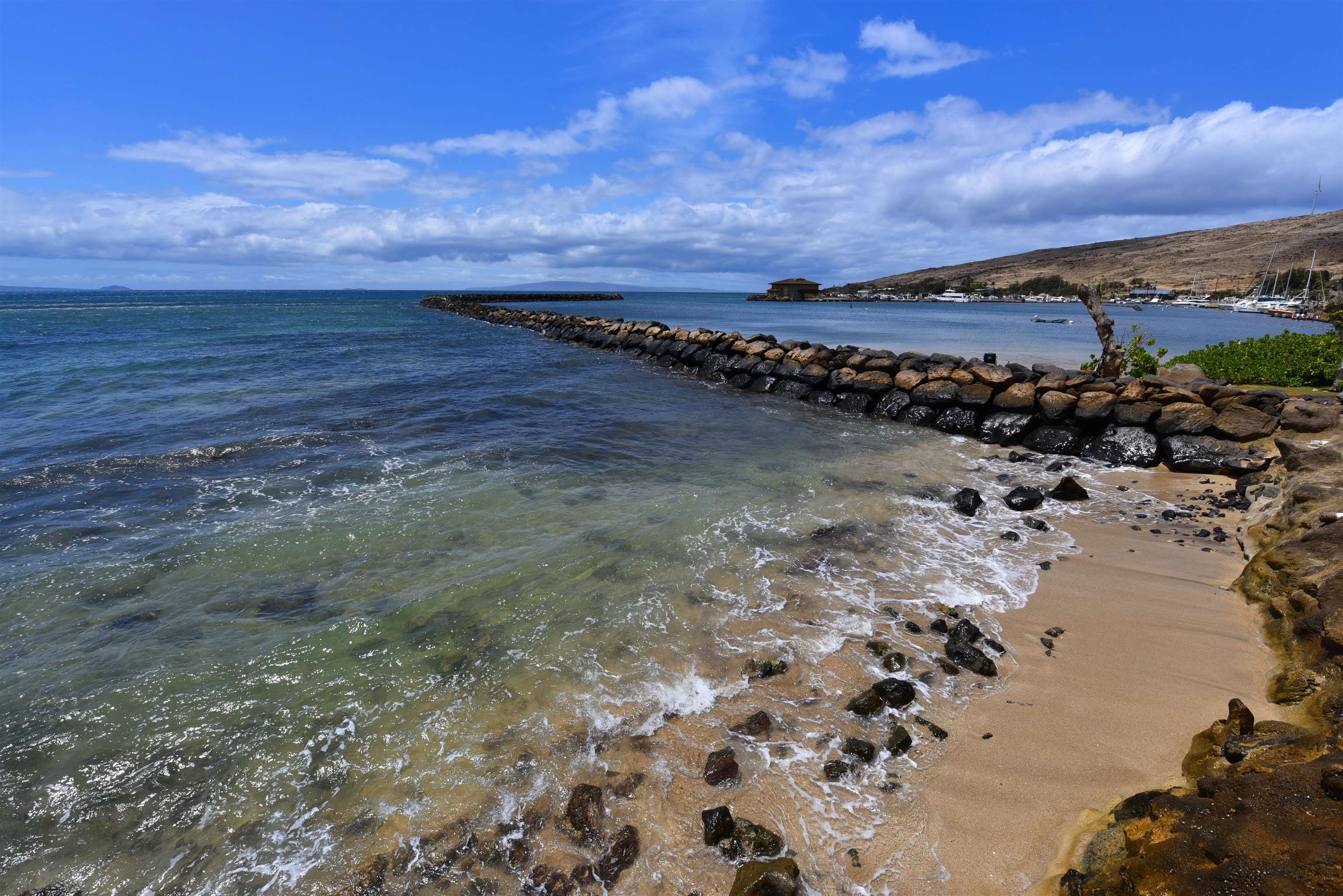 50 HAUOLI St Unit: 408