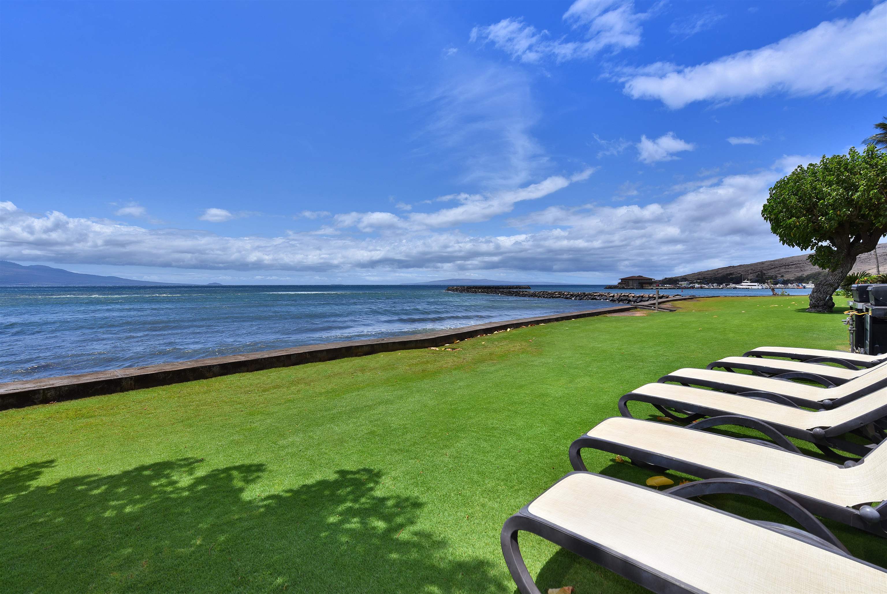 50 HAUOLI St Unit: 408