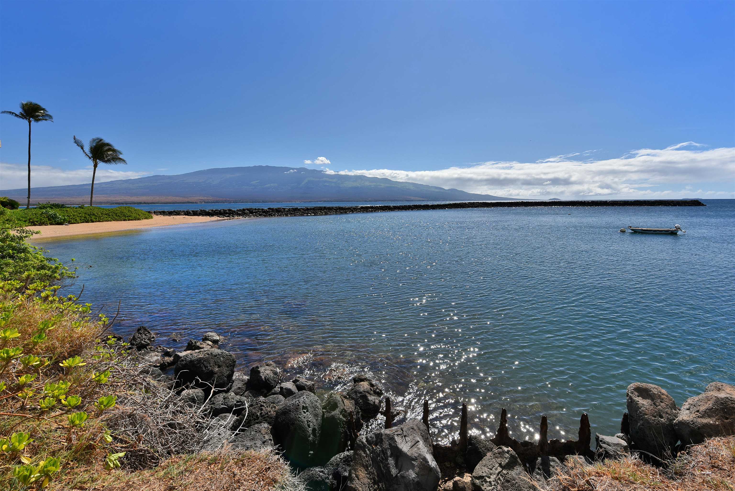 20 HAUOLI St Unit: 305