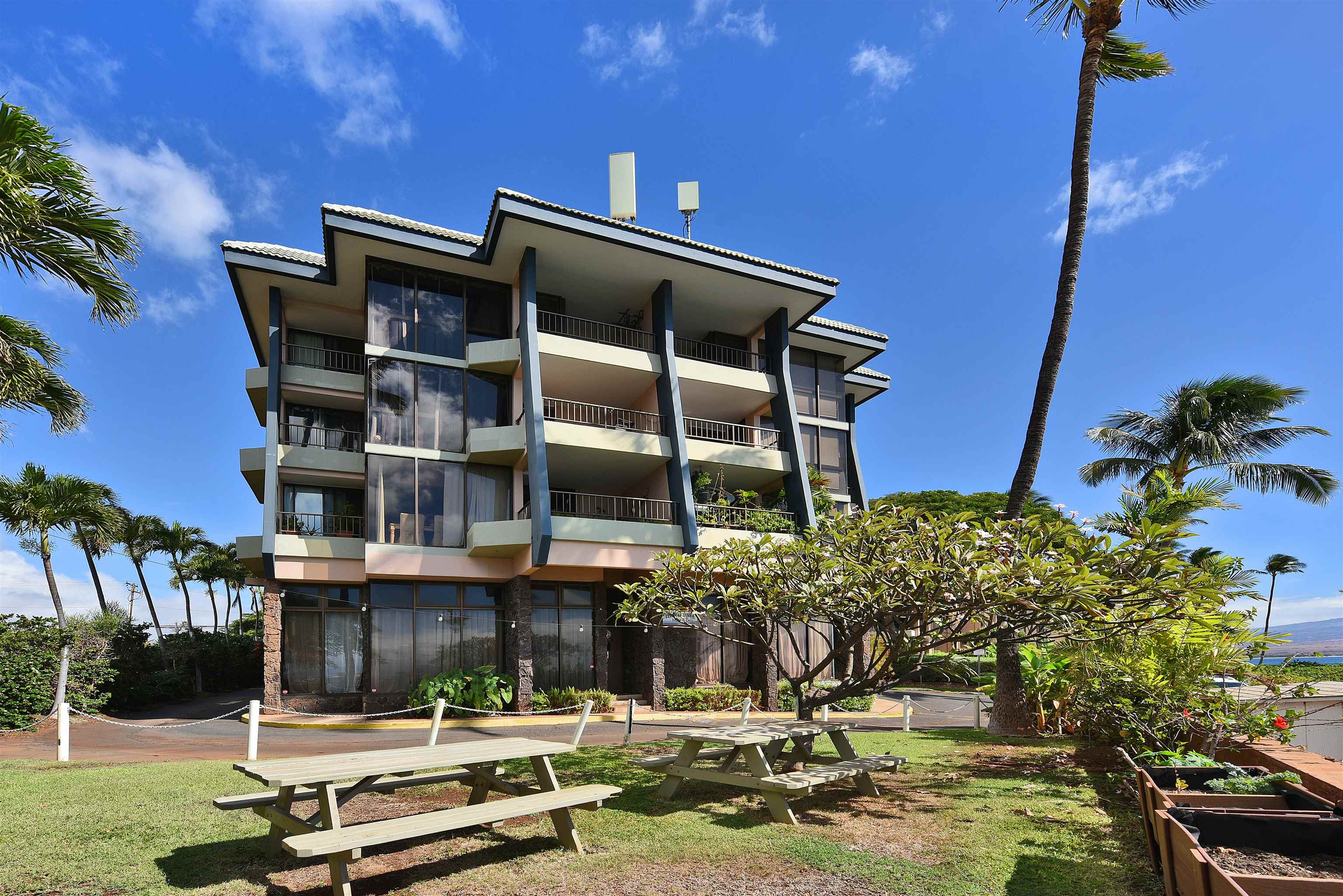 20 HAUOLI St Unit: 305