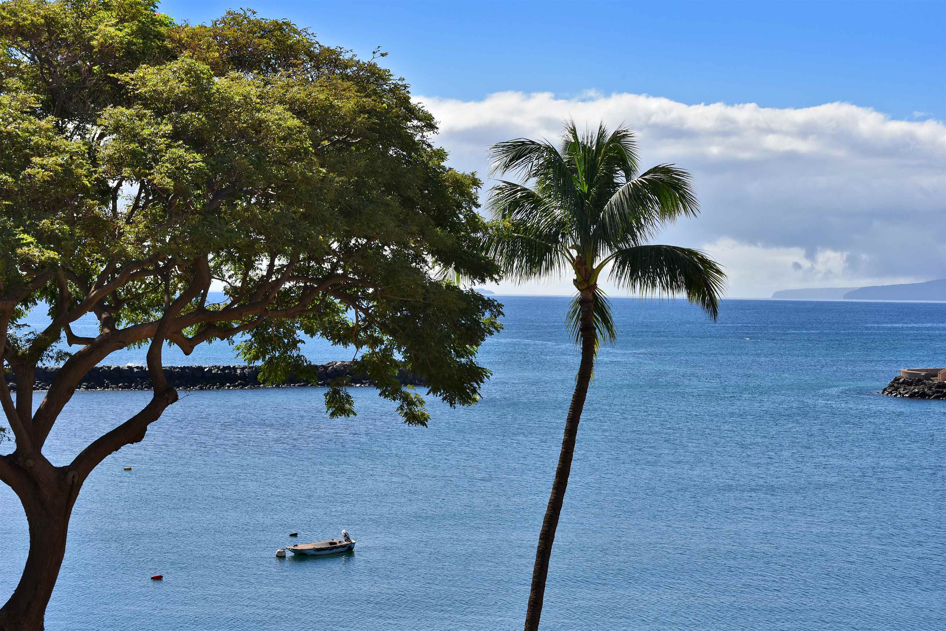 20 HAUOLI St Unit: 305