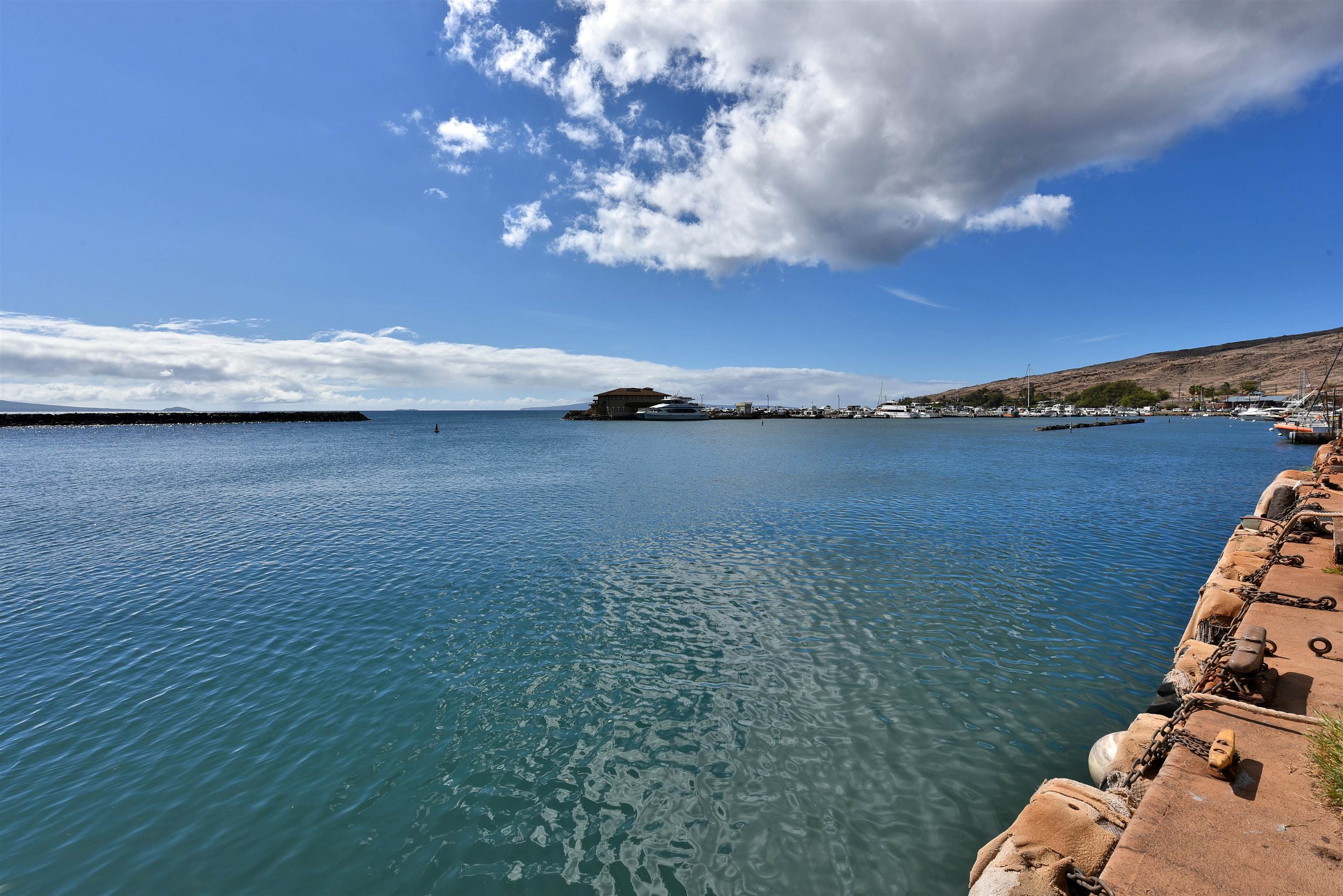 20 HAUOLI St Unit: 305