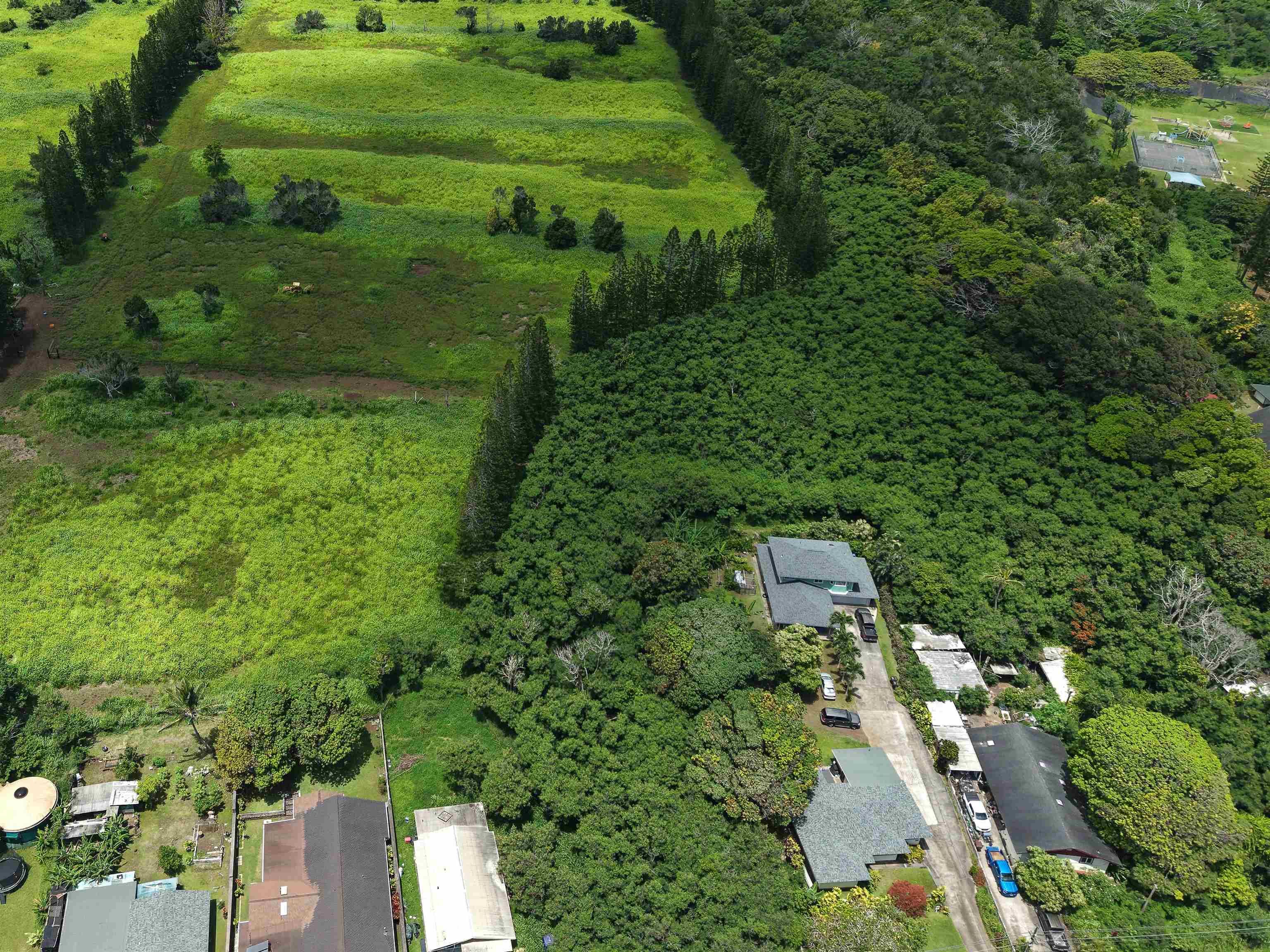 2085 Kahekili Hwy