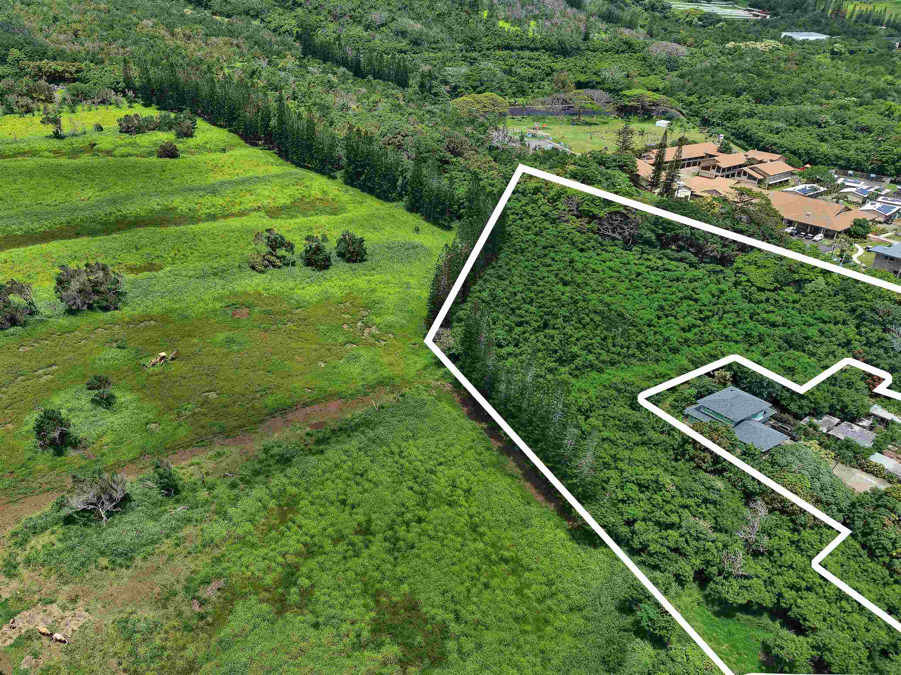 2085 Kahekili Hwy