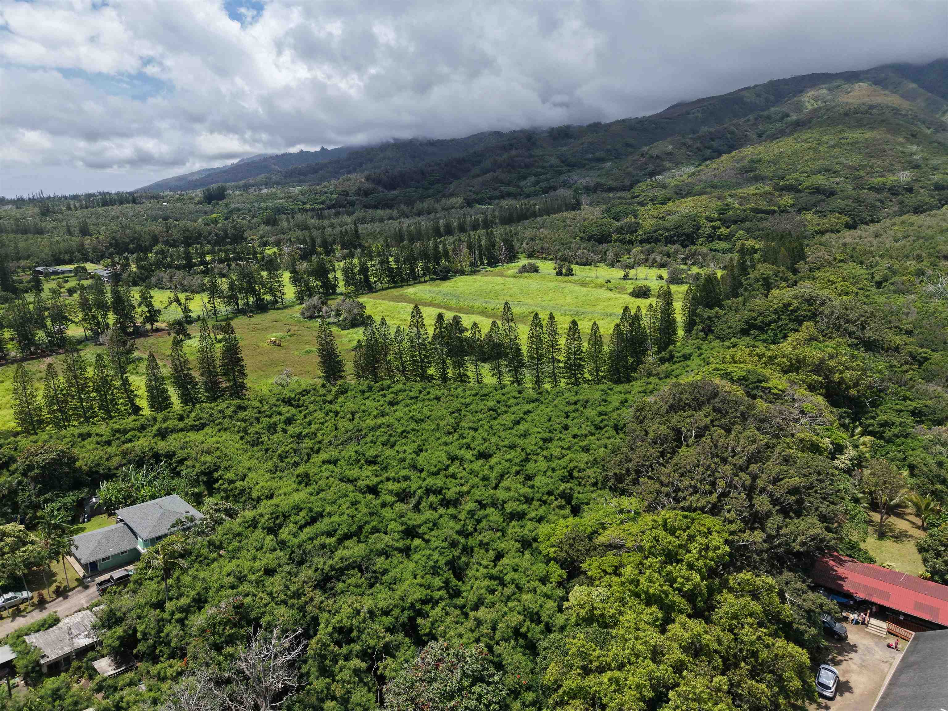2085 Kahekili Hwy