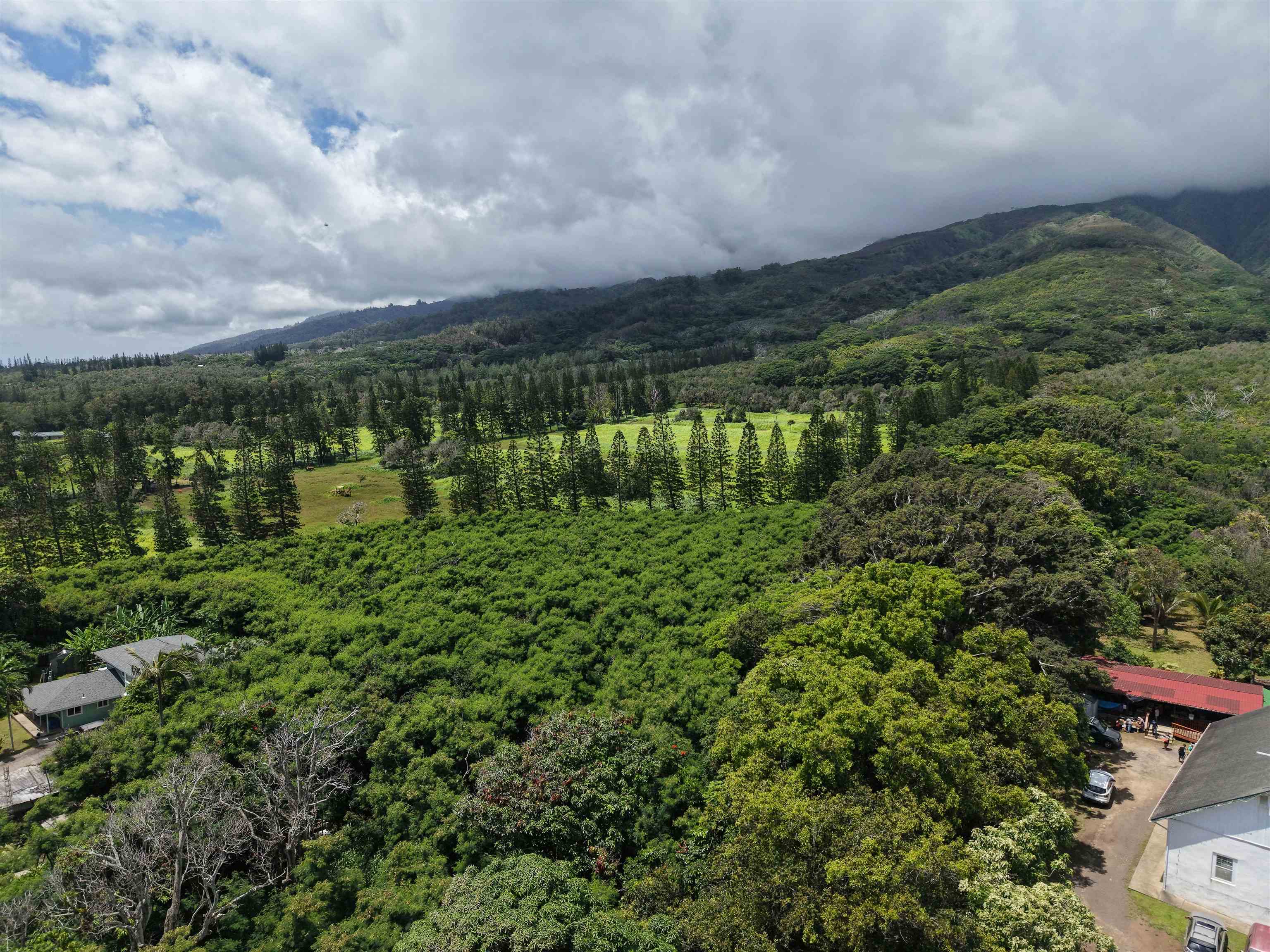 2085 Kahekili Hwy