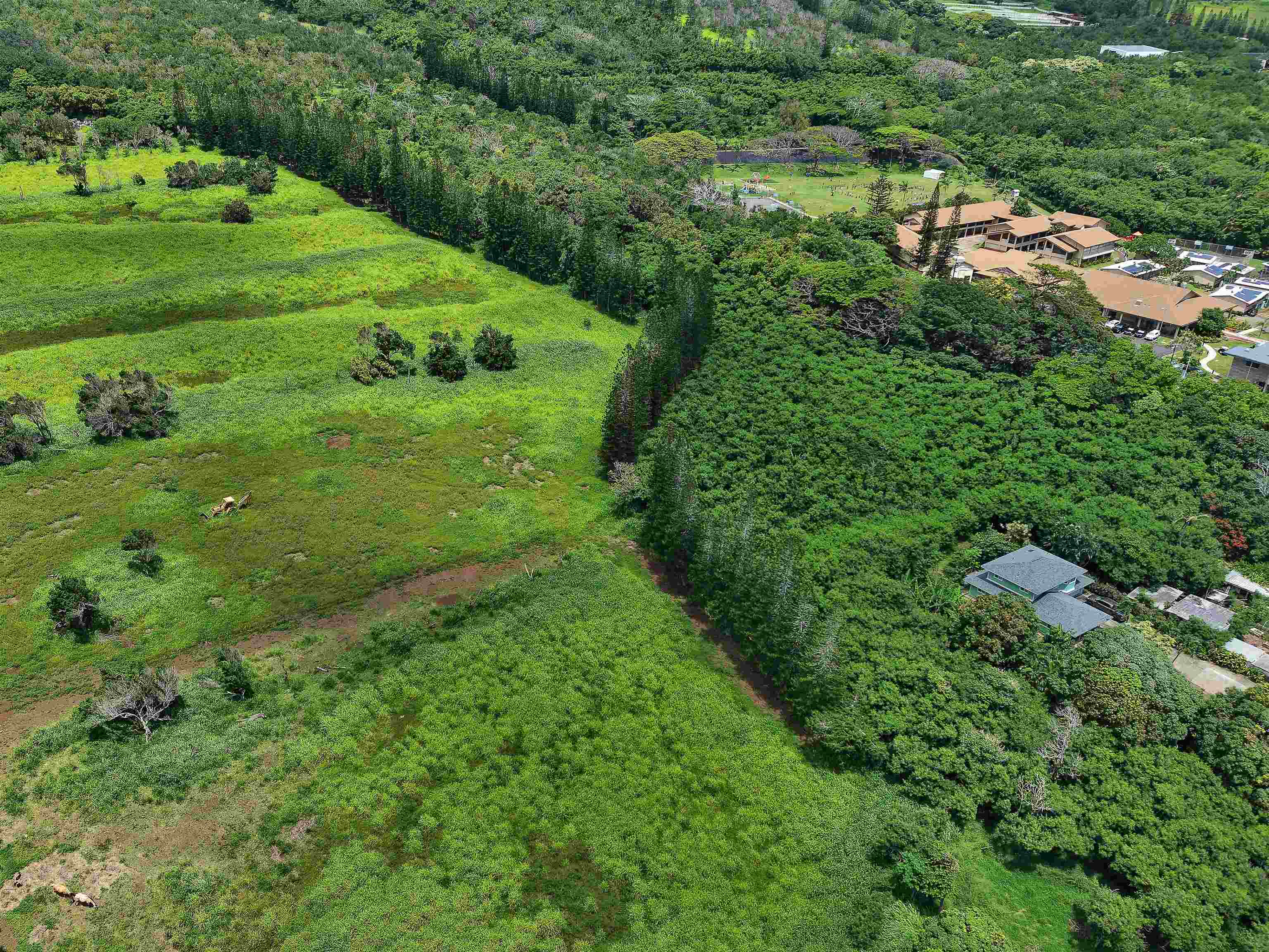 2085 Kahekili Hwy