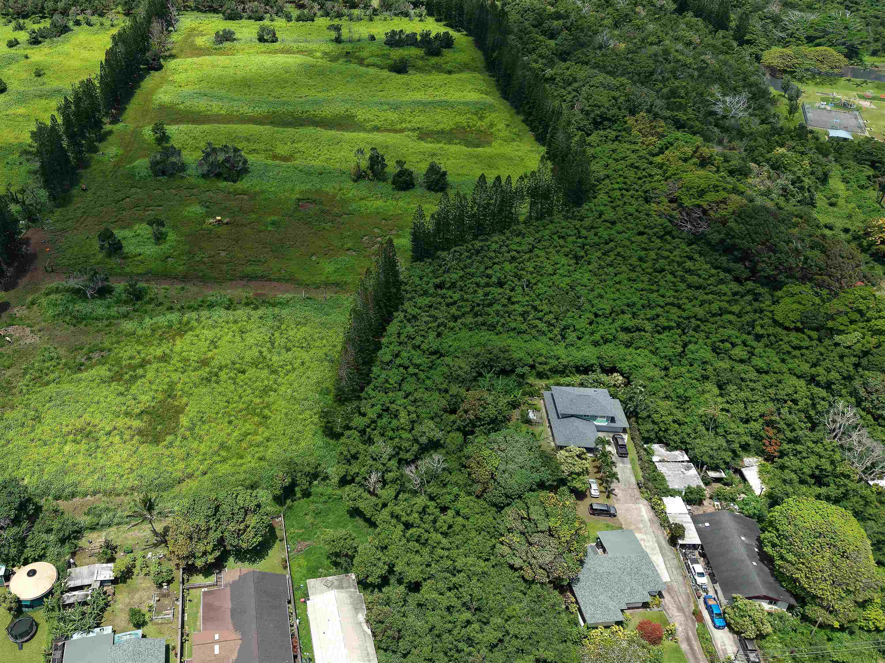 2085 Kahekili Hwy